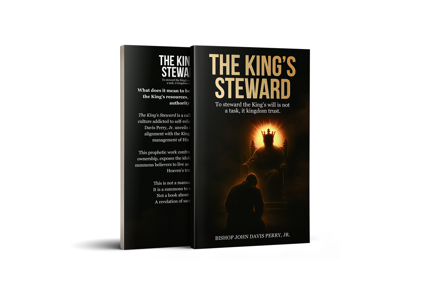 The King’s Steward
